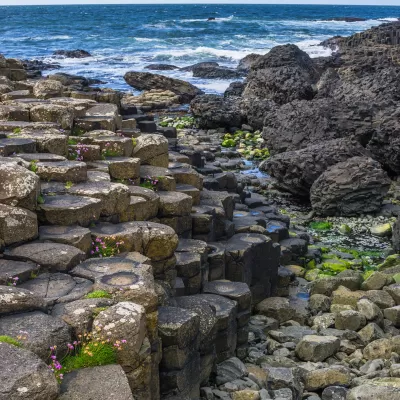 Giant's Causeway (Antrim Coast, Northern Ireland)